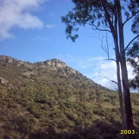 Casa En Plena Naturaleza Attcc00637 Valdecanas de Tajo Eksteriør billede