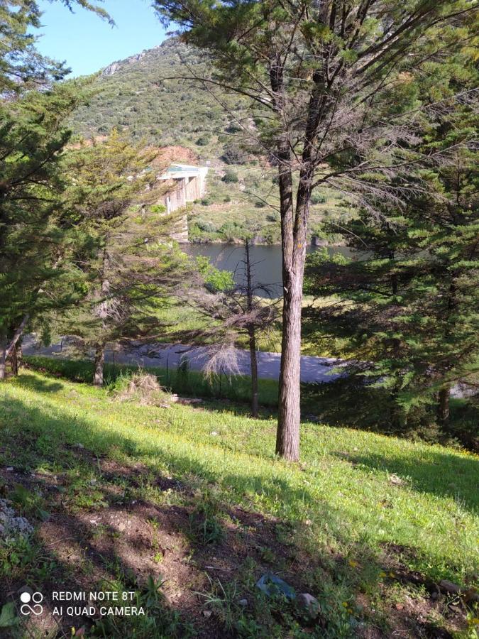 Casa En Plena Naturaleza Attcc00637 Valdecanas de Tajo Eksteriør billede