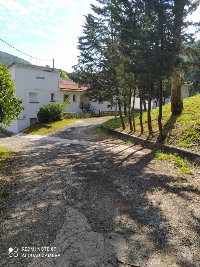 Casa En Plena Naturaleza Attcc00637 Valdecanas de Tajo Eksteriør billede